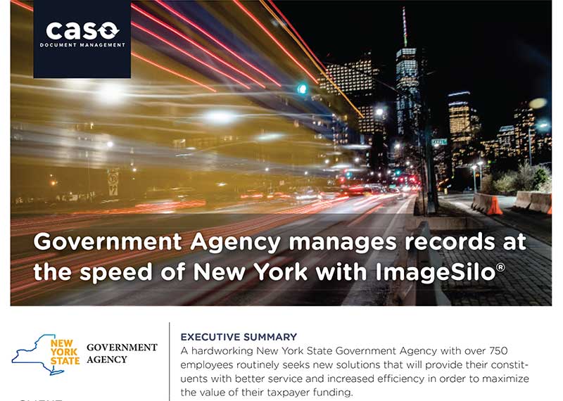 NYS Government Agency Case Study